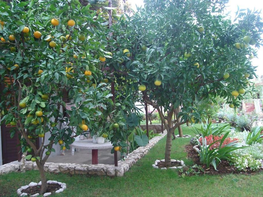 Apartment Mia - Spacious Apartment On 85 M2 With Beautiful Sea View Trogir Exterior photo